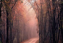 九游娱乐网页-韩国女足卫冕冠军！从奋斗到荣耀的精彩旅程