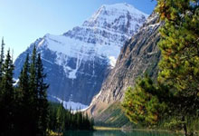 九游娱乐-阿尔艾因球队配合日益默契,世俱杯表现备受关注