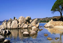 九游游戏-蒙特雷阵容深度显著,替补席也能决定比赛走向