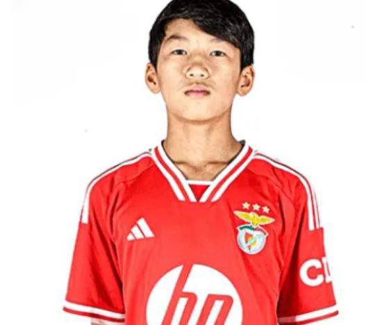 关于热那亚年轻新秀崭露头角,成为关键一员的信息 关于热那亚年轻新秀崭露头角,成为关键一员的信息