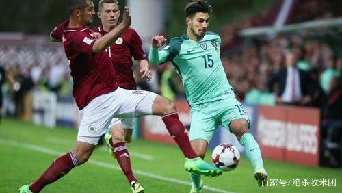 瑞典队奋力一搏,欧预赛前景一片光明 瑞典队奋力一搏,欧预赛前景一片光明