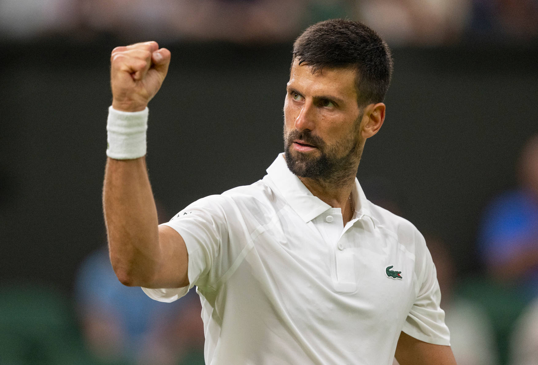 九游体育-温网鏖战美网，德约科维奇状态火热的简单介绍