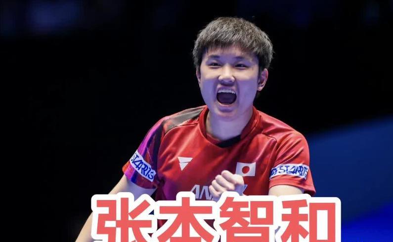 关于瑞典队力克韩国队，张本智和刷新纪录的信息