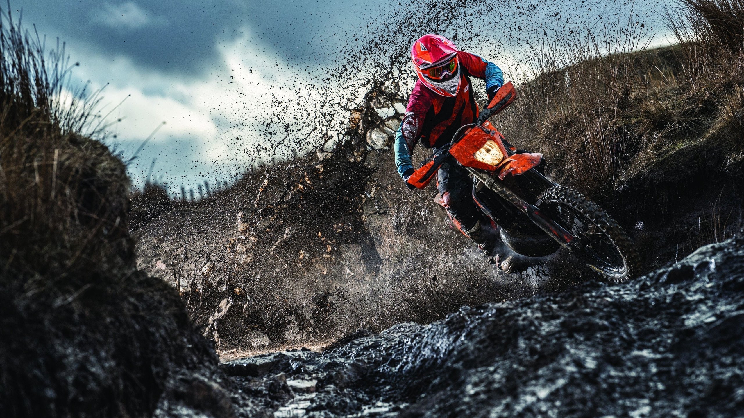 东契奇雷霆万钧，映照出辽宁队何去何从